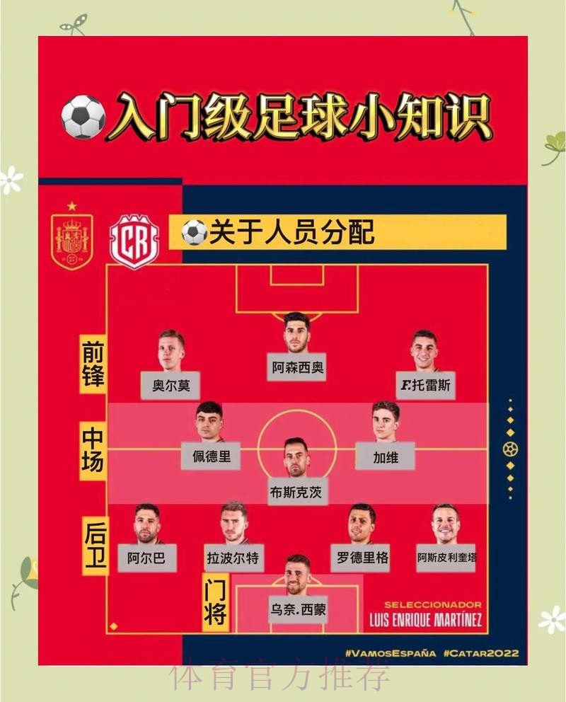 全面解析世界杯体育平台选择技巧